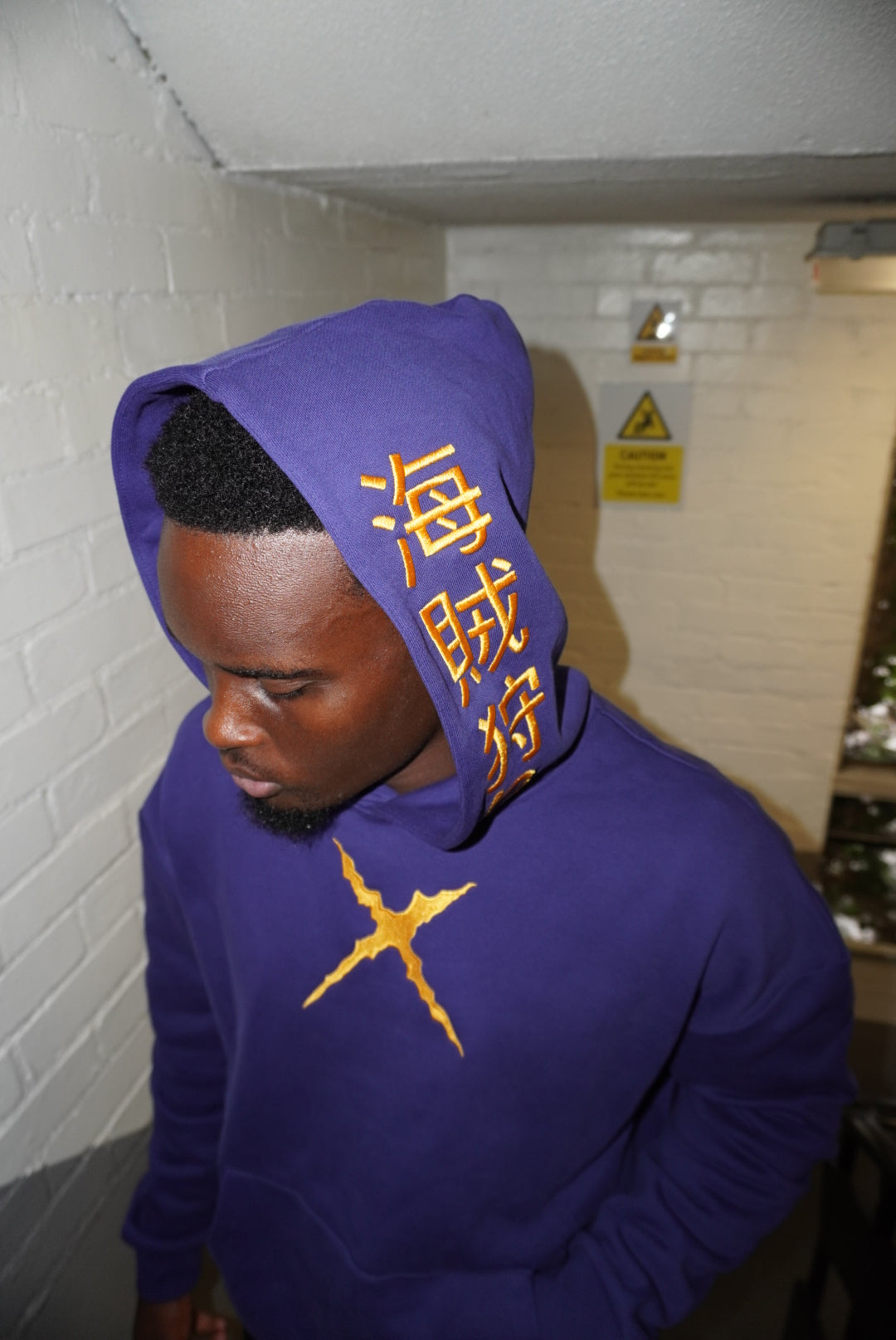 King of Swords Hoodie – Zoro Collection by Rising Ronin