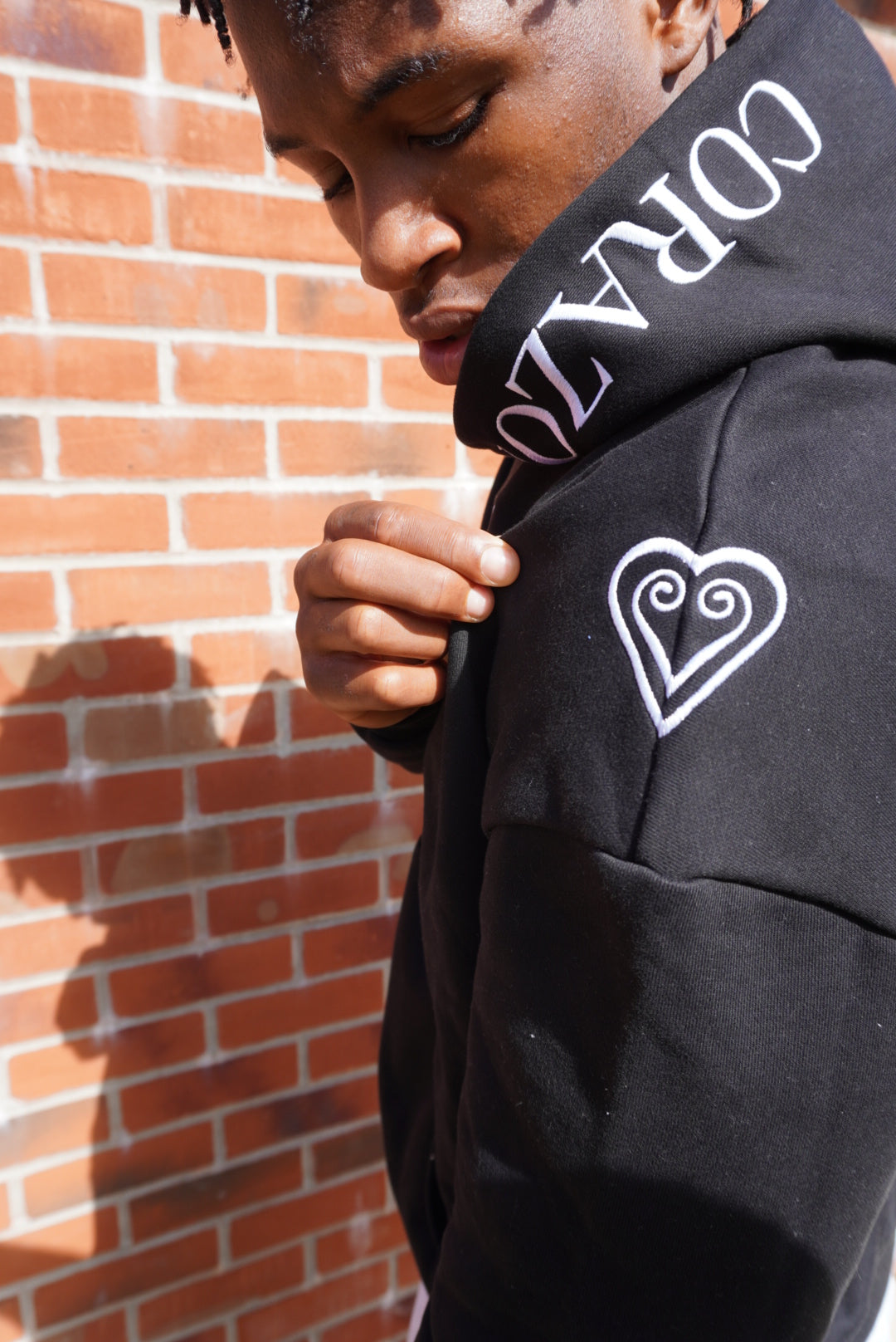 Trafalgar Law Collection: Lawless premium Hoodie